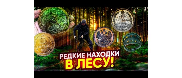 Лесные тайны: нашли кучу кошельков раннего СССР,