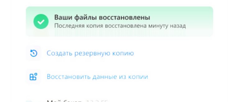 Имена папок с копиями