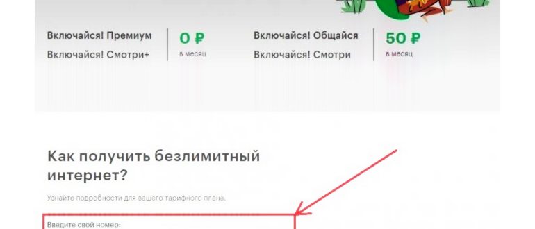 Роутер FR100-1