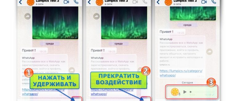 Как записать и отправить голосовое сообщение в