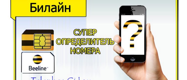 Стоимость услуги супер антиопределитель