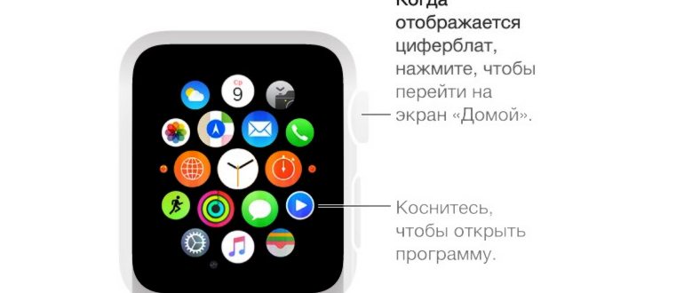 Корона Apple