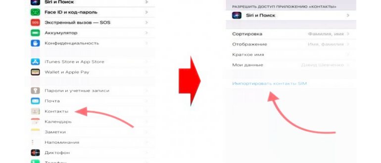 Обзор Iphone