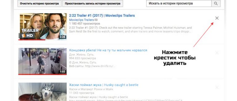 история-просмотров-на