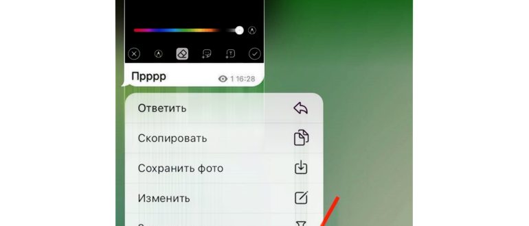 контакты