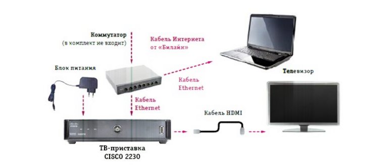 Телефон Билайн