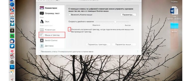 Почему не работает тачпад на ноутбуке