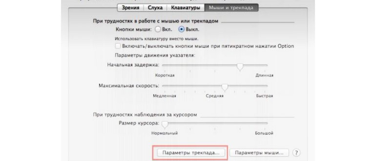 Почему не работает тачпад на ноутбуке (Windows и
