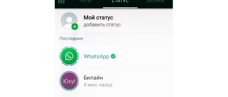 Сведения о