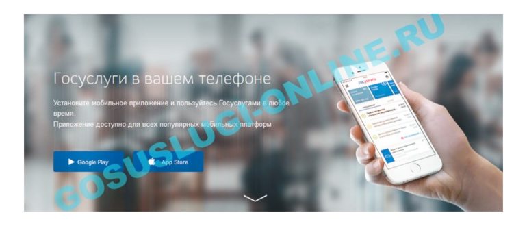 черновик заявления на