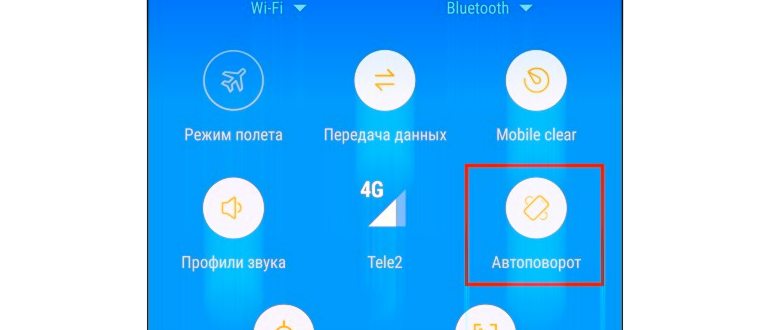 кнопка
