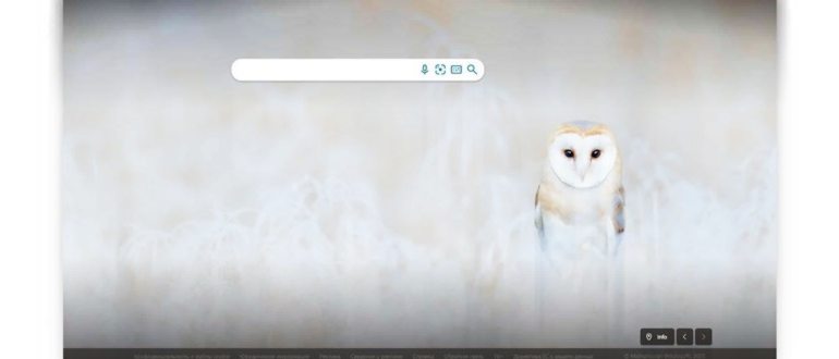 Bing