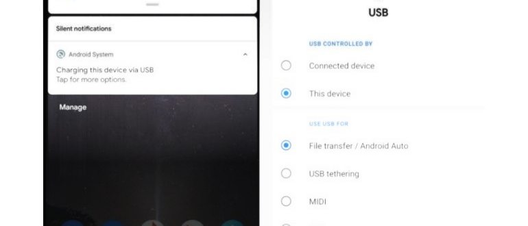 android phone backup