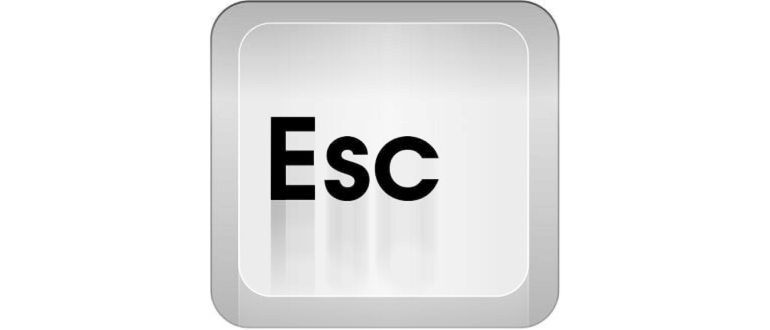 iOS