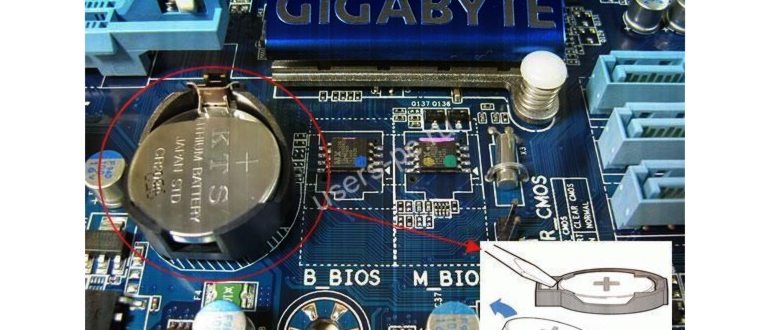Bios