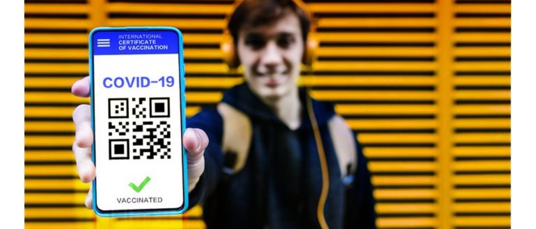 6 способов хранить QR-код кроме «Госуслуг» и