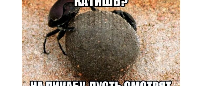 Оставлю это тут Колобок, Картинка с