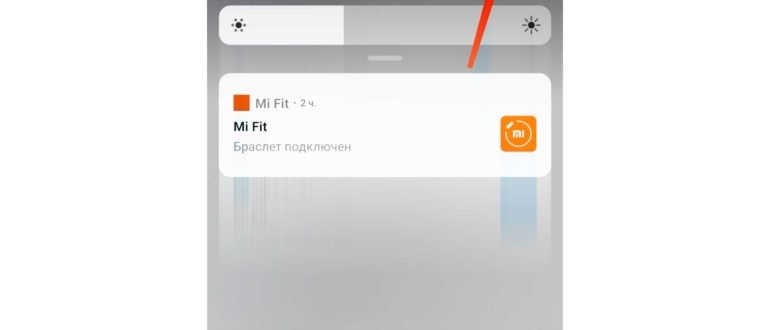 раздел