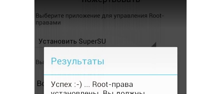 бесплатные