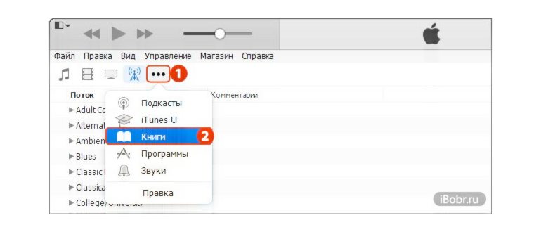 Как читать книги на iPhone через