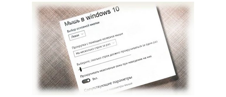 Свойства