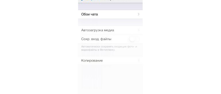 Как на iPhone 14/13/12/11/X/8 фотографировать в