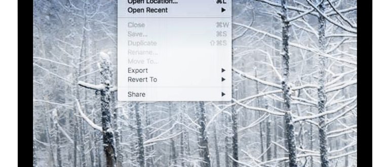 Проигрыватель Apple