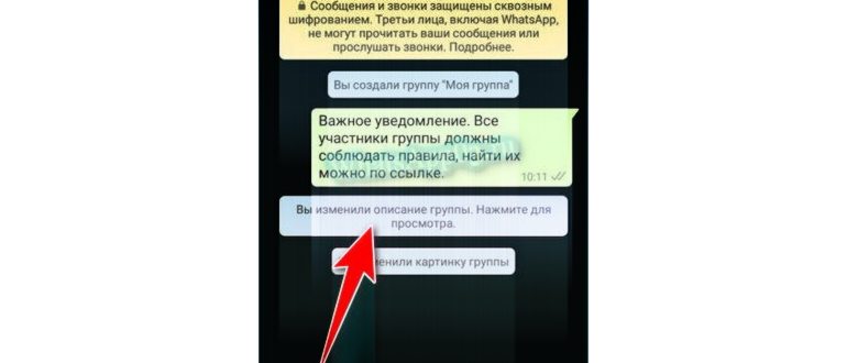 Что такое чат в