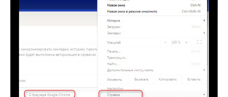 О браузере Google