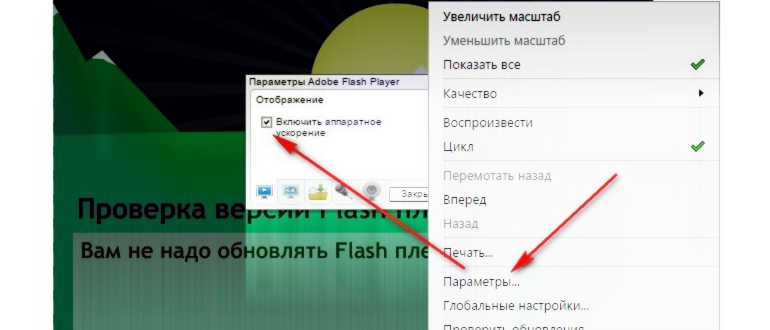 «Shockwave Flash» – «Всегда