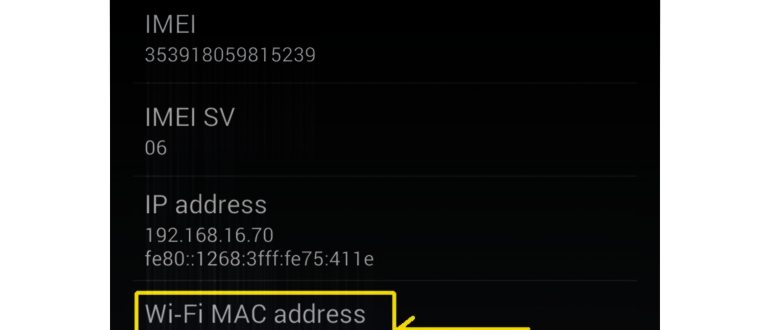 Что такое MAC-адрес роутера, где посмотреть и как