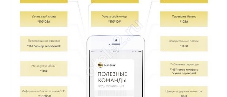 Просьба перезвонить