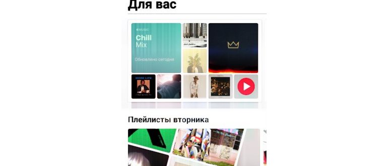 Zarydka