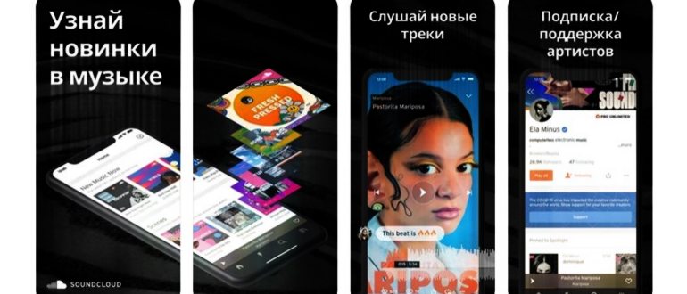 Как слушать музыку на iPhone 14/13/12/11/X/8 без