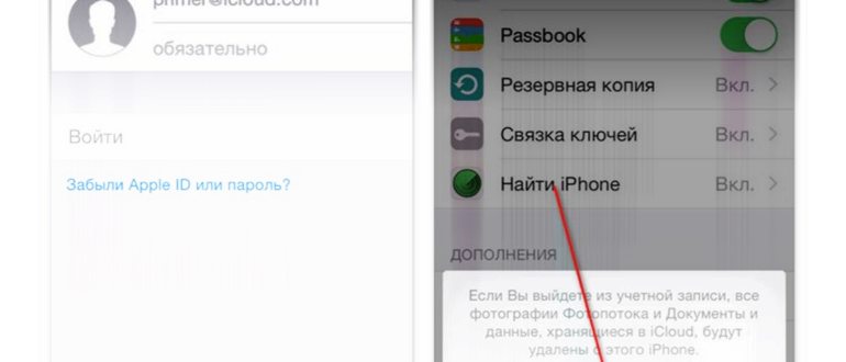 экспорт всех фото mac 2024-03-17 в 17.30.25