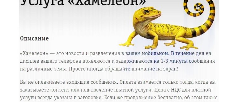 RSCHS пришло СМС: что это такое, кто