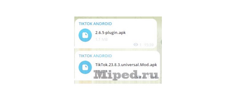 Muxael