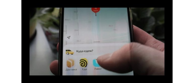 Что употребляют разработчики Yandex. Go? Яндекс