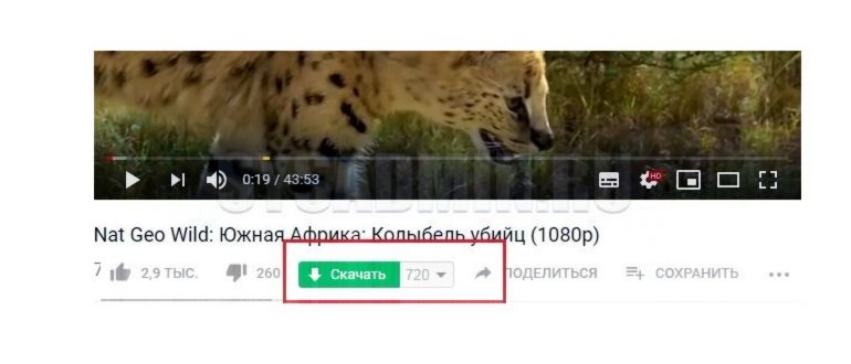 аналог программ, записывающих трансляции и стримы