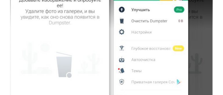 Мусор в