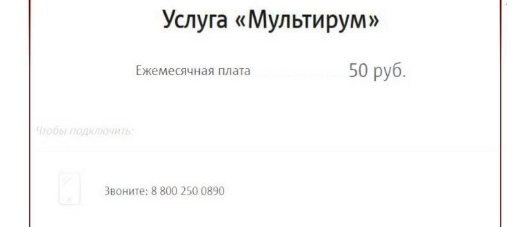 что такое мультирум от