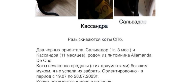 Иллюстрация к