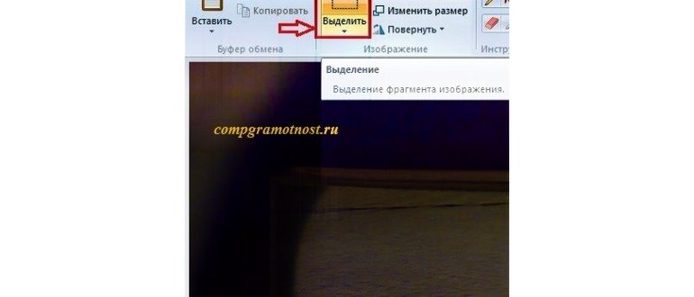 оцифровка слайдов