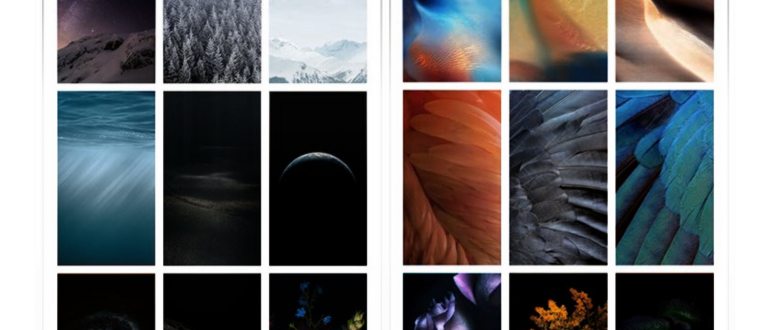Можно ли установить iOS 13 на iPhone
