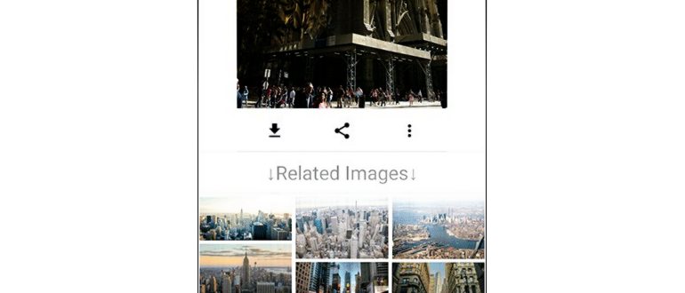 google поиск по