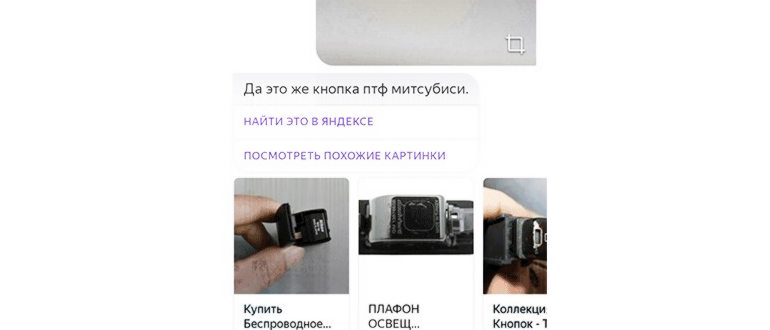 Поиск в