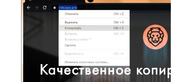 Как скопировать изображение в буфер обмена на