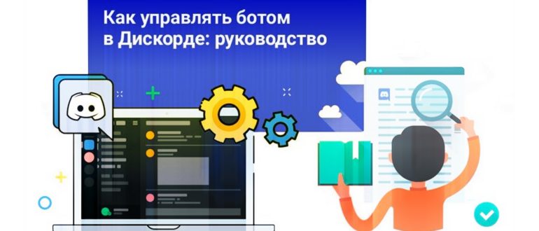 Как установить бота на сервер в Discord: подробная инструкция