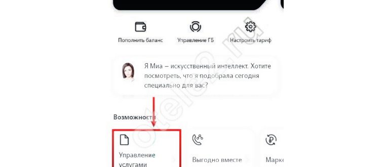 Как подключить услугу «СМС