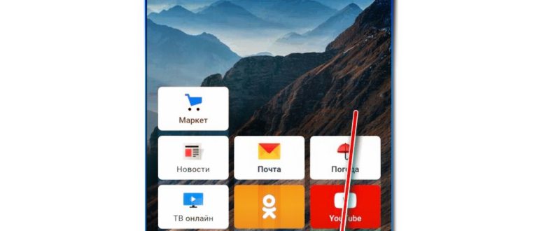 delete history opera